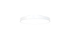 Светильник потолочный DL-NEFRIT600-48-WH-NW